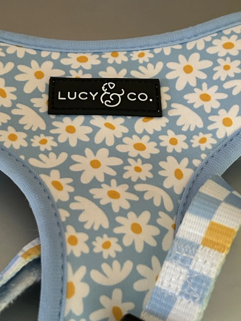 Lucy & Co Simply Splendid Reversible Harness - Adjustable Dog Harness L